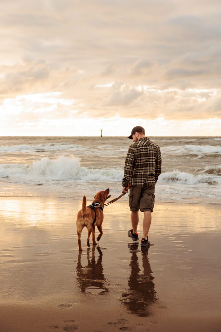 Tanja Gschwandl Dog Photography