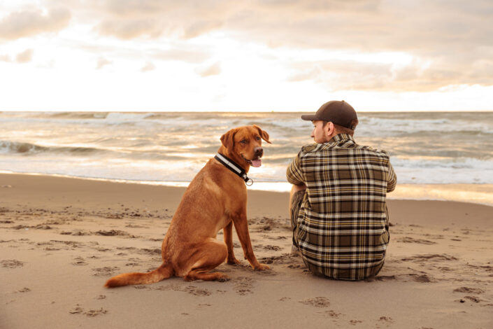 Tanja Gschwandl Dog Photography